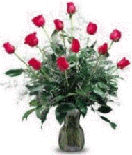 Roses
                      for mom ...