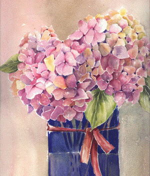 Hydrangea